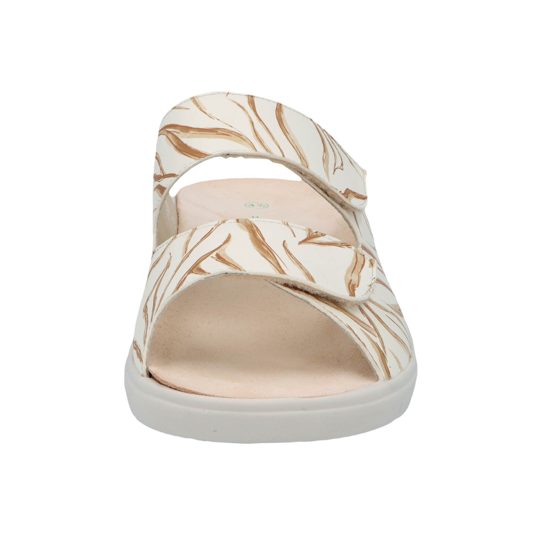 solidus-honey-mali-camel-vorderansicht