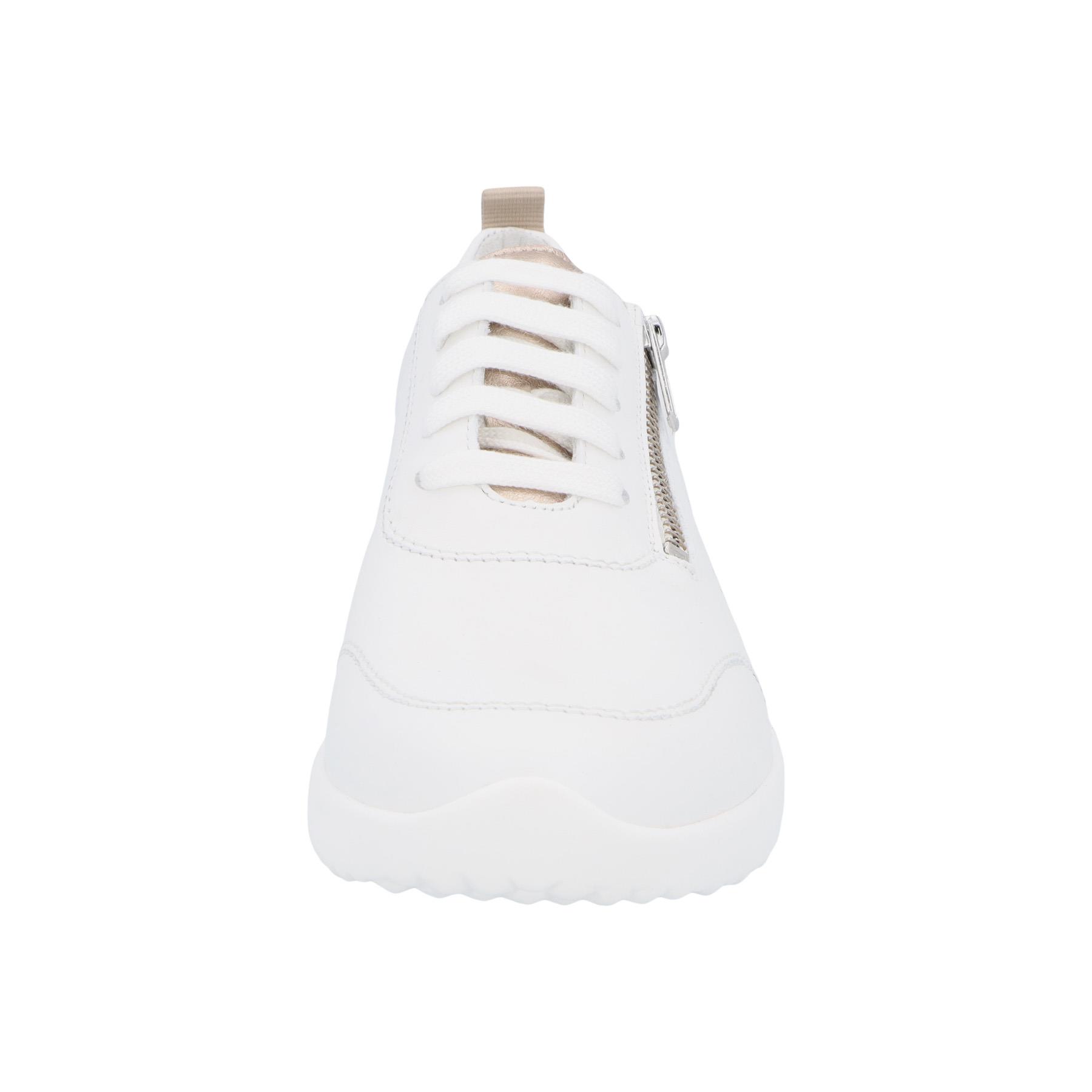 solidus-hyle-vitello/botta-weiss/champagne-vorderansicht